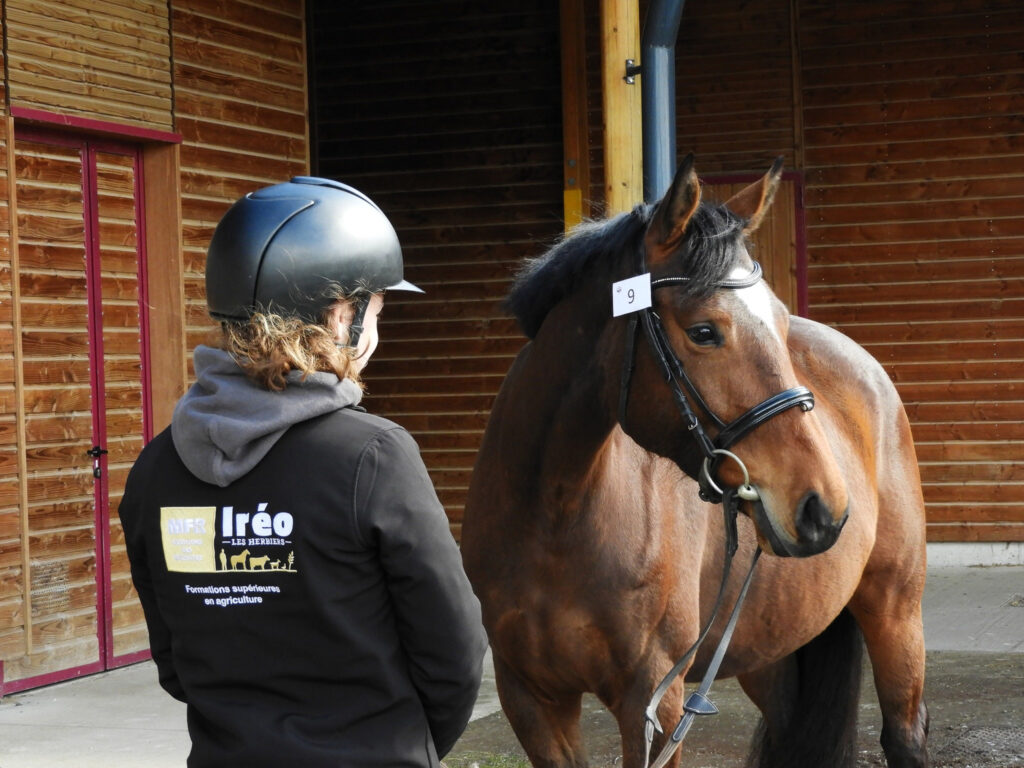 Maelys Goujon, étudiantes en BTSA ACSE Equin aux championnats de france Young Breeders