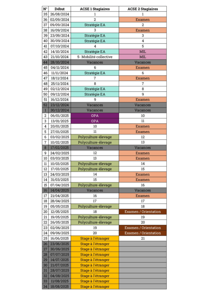 Planning ACSE Stagiaires 2024-25