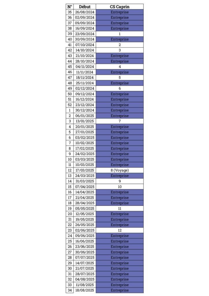 Planning CS Caprin 2024-25